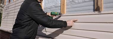 Best Custom Trim and Detailing for Siding  in Farmer City, IL